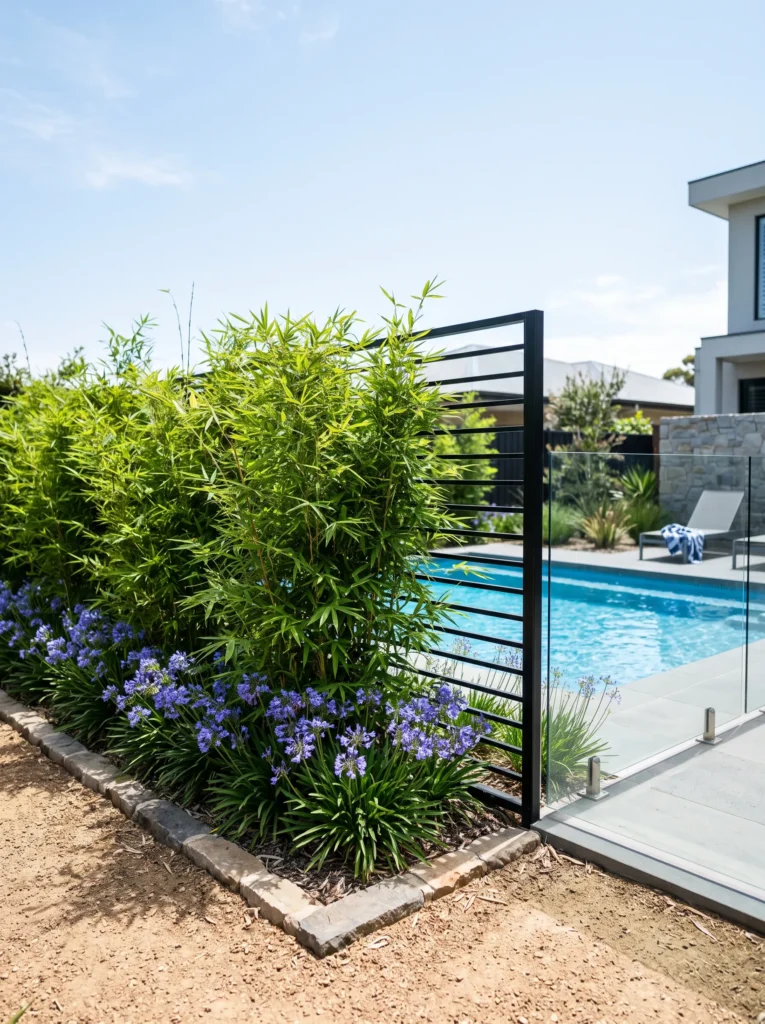 Pool fence softened by clumping bamboo and dwarf agapanthus.