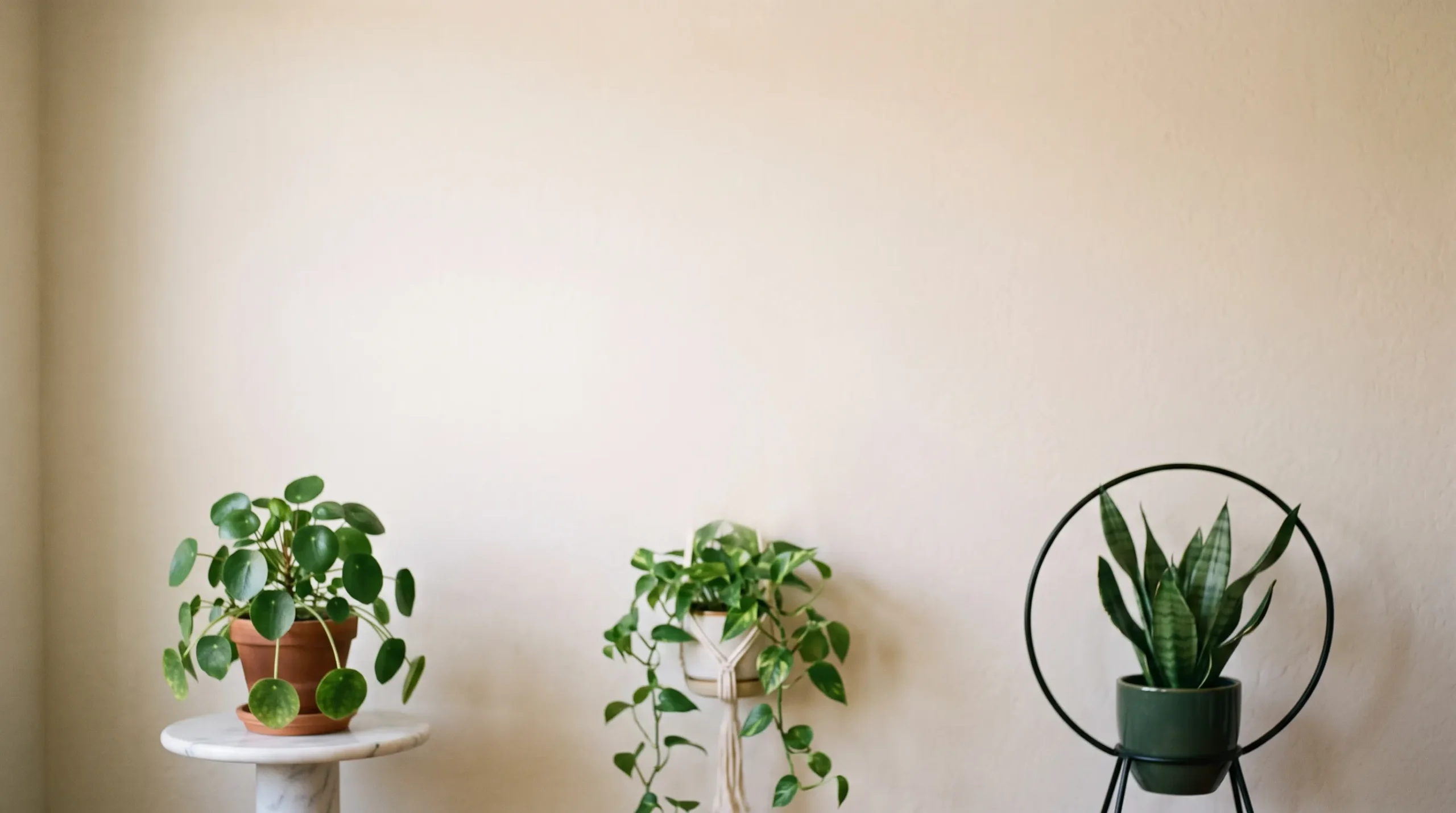 indoor plant stand ideas