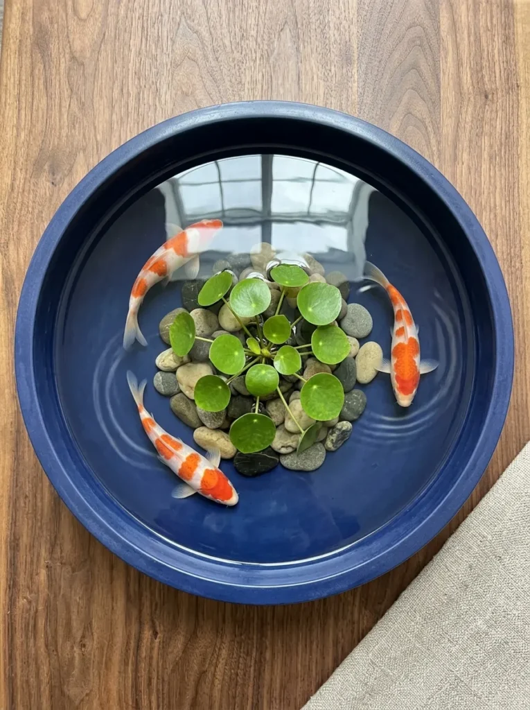 "Indigo koi pond design painted on a concrete bowl planter"