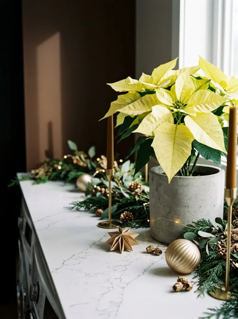 "Lemon-yellow poinsettia in a concrete pot on a laundry room counter"